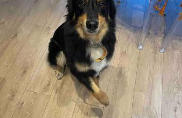 t3 au rez de jardin d une maison - Foto 9