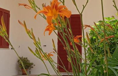 TERRA ROSSA casa di campagna con piscina 2 camere da letto, 4 pl, si animali da compagnia - Foto 15