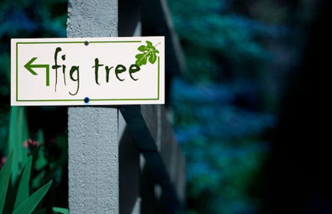 Healesville Apartments - Foto 7