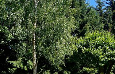 Sielanka Kretowiny - Foto 17