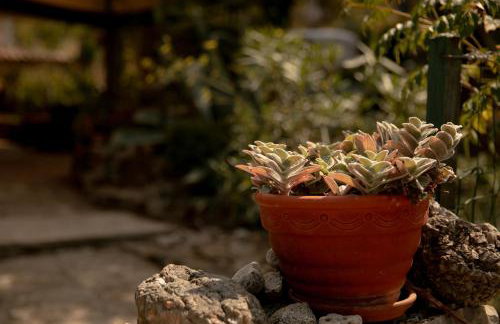 Apartman Silna your new home with terrace and garden - Foto 18