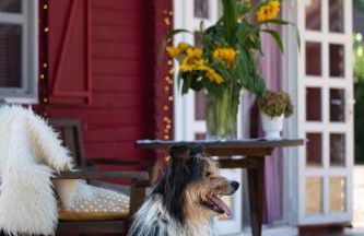 Moerenhof Blockhütte Xanten - Foto 1