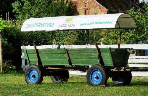 Babie Lato - Foto 36