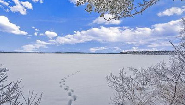 Lehto - Foto 3, Inside other