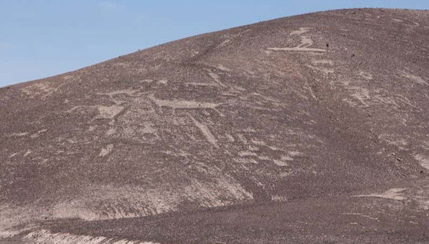 Gain insight into these prominent figures