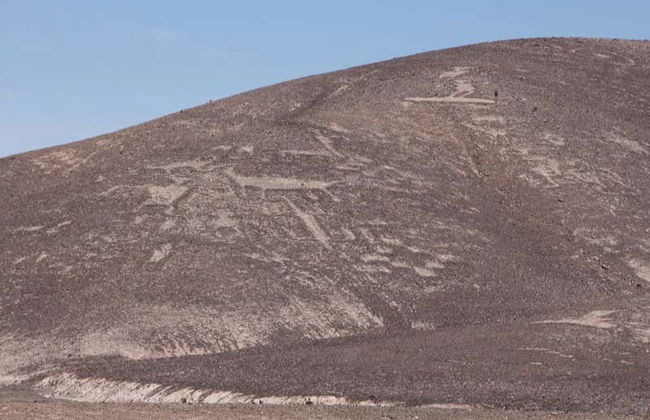 Chug-Chug Geoglyphs Private Tour - Photo 4