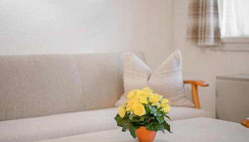 Ferienwohnung Wennesz 2 - Photo 4