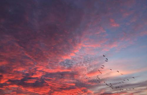 Tief 10 Wattn Watt-Blick 604 - Photo 19