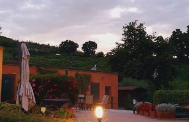 Poggio Montali - Foto 68