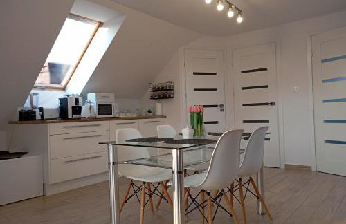 Apartment/mieszkanie u Janusza - Photo 1