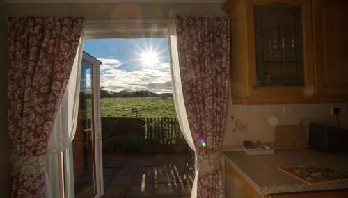 Goitre Bach Cottage - Photo 3