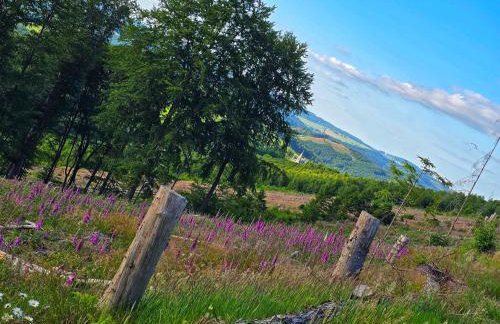 Ferienwohnungen Dorfliebe Dörnberg - Photo 77