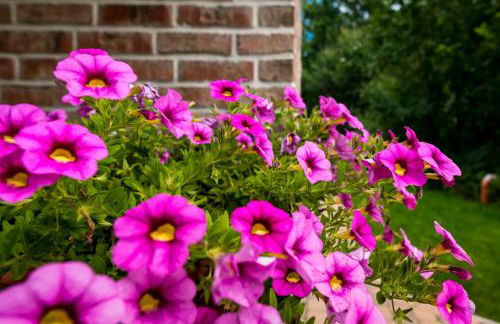 Ferienwohnung Heide View - Foto 33