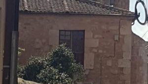 Rincón de Ayllon - Foto 4