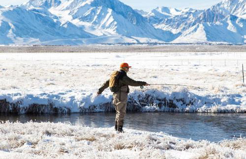 Village Treehouse #2 - Foto 59