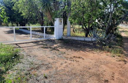 Casa Trullo Bianco: Casa Vicino - Foto 16