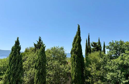 M Plus Residence - Photo 63