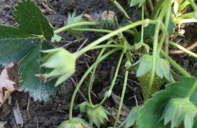 Le Coccole Del Trasimeno - Foto 58