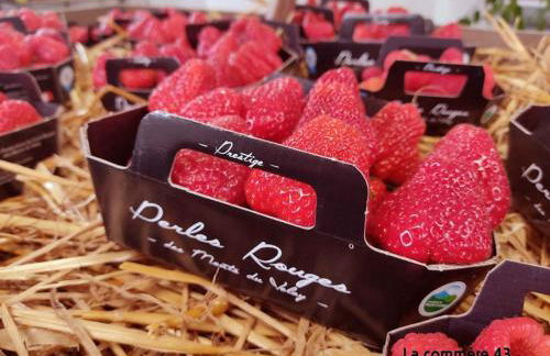 Wood log chalet - Foto 27