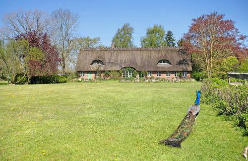 Ferienwohnung Galerie unterm Reet - Foto 17