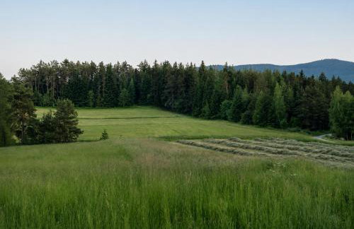 Biały Domek Świerczek - Jacuzzi, Balia Ruska SPA, Rowery, Altana i Grill w Słopnice - Foto 44