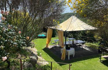 Villa Diletta - Foto 17