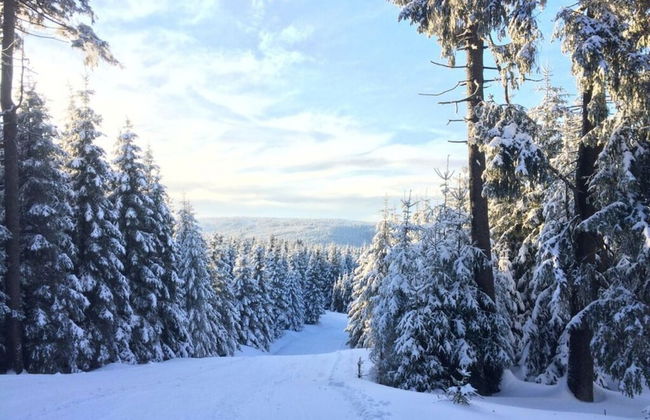 Holiday Home Harzhaus Time out - Photo 18