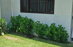 CASA de Praia, Jardim São Lourenço Bertioga SP - Foto 35