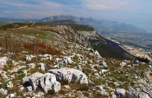 Heritage apartman Geza in centar with private parking - Photo 28