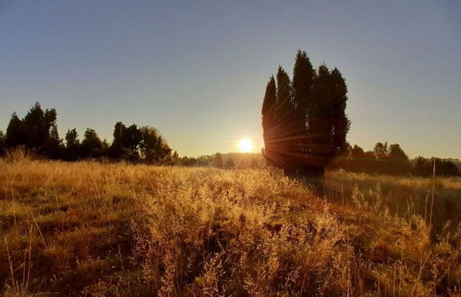 Apartment at the Eichenpark - Foto 16