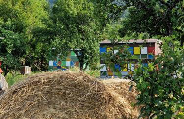 Plitvice Apis - Foto 47