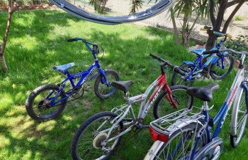 Soula's sunshine big Apartment - Photo 12