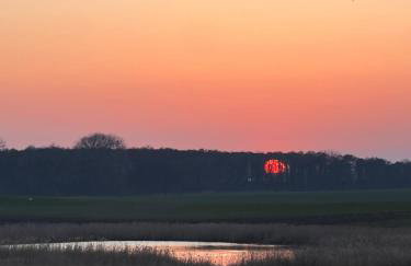 Landhaus Maltzien - Auszeit auf dem Land - Photo 3