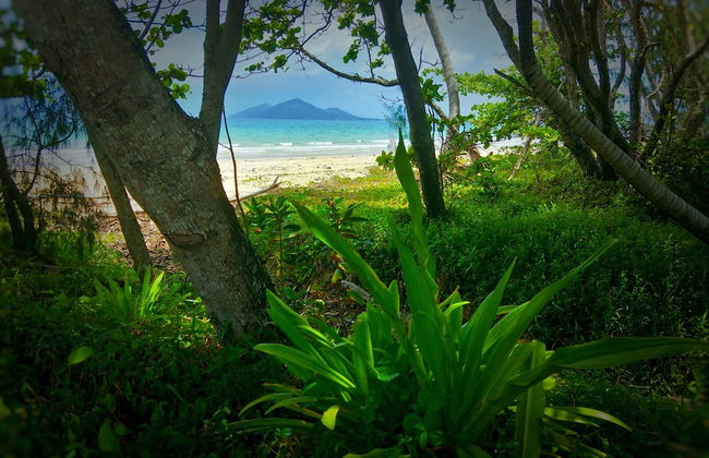 Mission Reef Resort - Foto 30