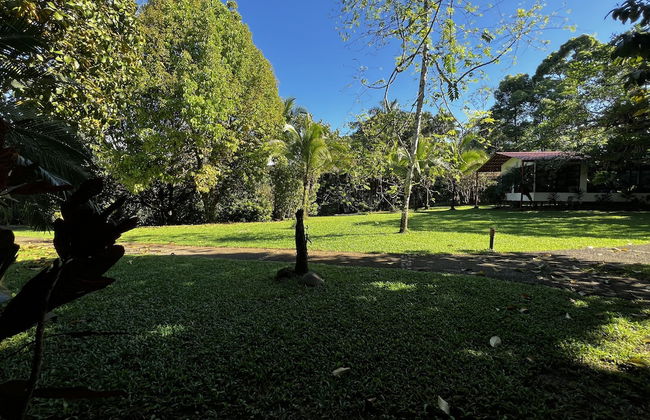 Blue Banyan Inn - Photo 18