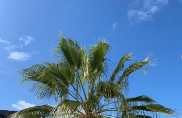 New Seaviews Apartment Puerto Mogán - Foto 25