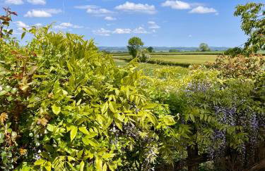 La Maisonnette de Chevannes - Foto 10