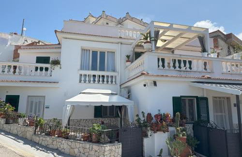 Sunderville Superior - Foto 15