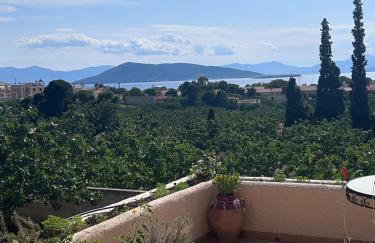 Pistachio House - Foto 26