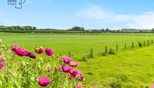 No 8 PolkaStays Ivy Farm Primrose Deluxe - Foto 3