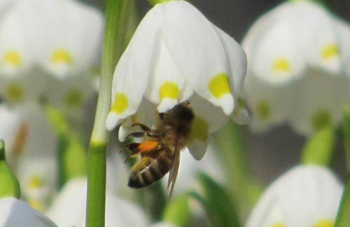 Ferienwohnungen im Landstreicherhaus - Foto 13