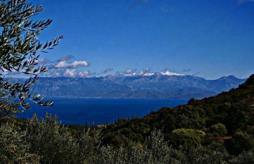 Stonevillas and Seaview Garden Marion - Foto 44