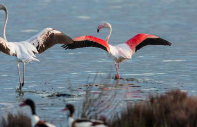 Palazzo Spada - Attico con terrazza vista fiume in centro - Foto 47