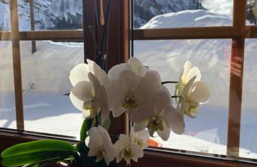 Residence Oberteil - Foto 55