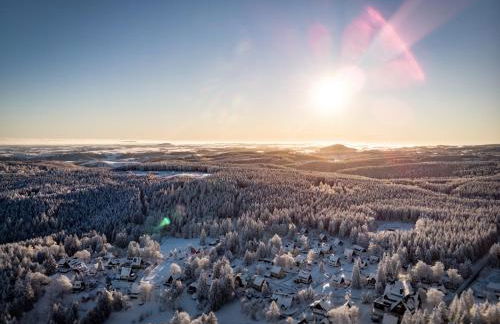 Chalet Zugspitze - Foto 39