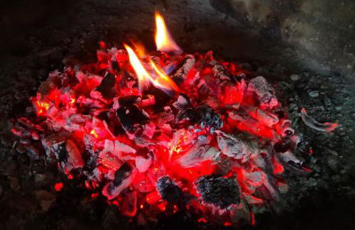 La Cantina de Daniel - Foto 39