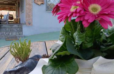 Elaia Rest House Retreat in nature - Foto 65