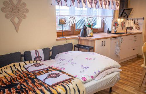 Apartament Jagodzianka Biały Dunajec - Foto 18