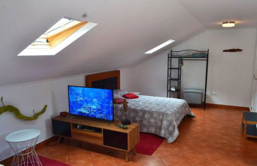 Lazy Lizard Studio - Foto 22