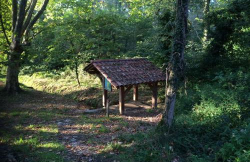 Maison landaise moderne avec piscine chauffée et spa - Foto 31